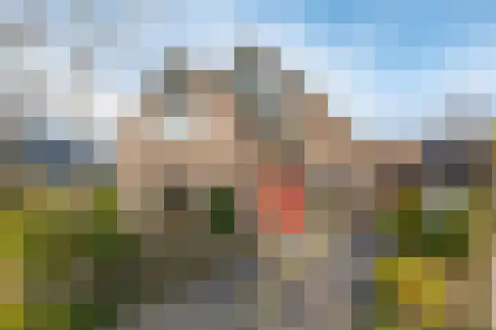 de Hulst 53 Roden thumbnail 71