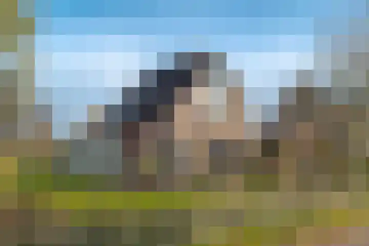 de Hulst 53 Roden thumbnail 8