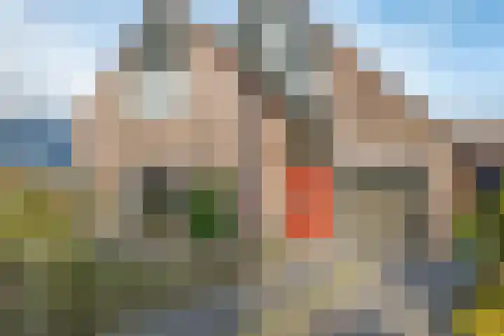 de Hulst 53 Roden thumbnail 9