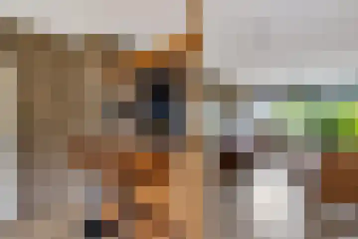 De Hulstlaan 22 Leek thumbnail 11