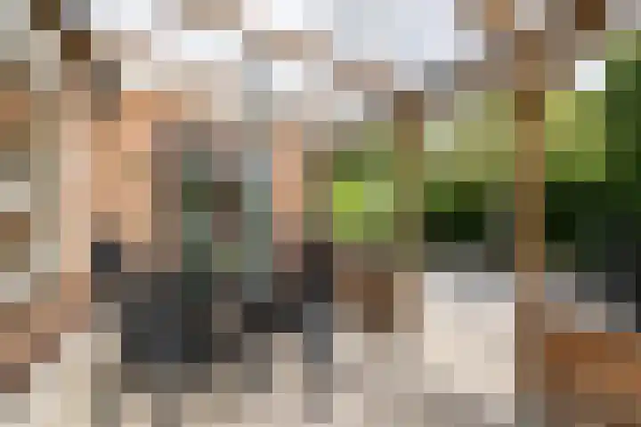 De Hulstlaan 22 Leek thumbnail 23