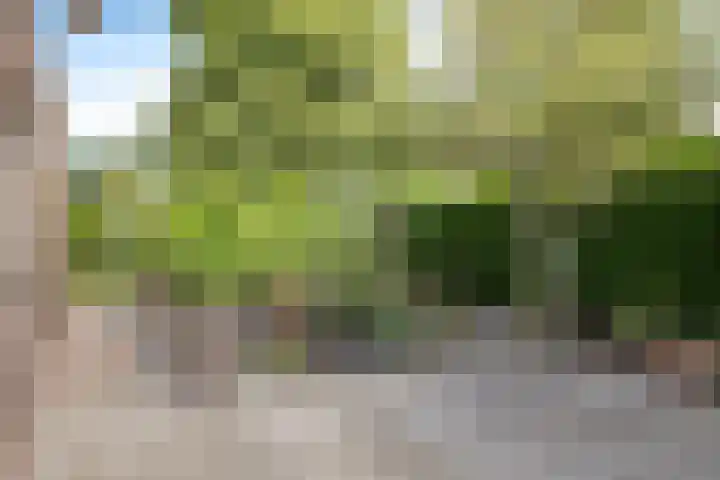 De Hulstlaan 22 Leek thumbnail 24