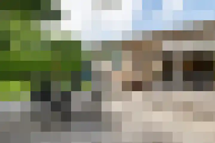 De Hulstlaan 22 Leek thumbnail 25