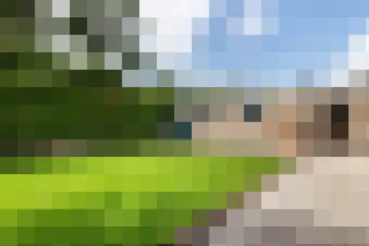 De Hulstlaan 22 Leek thumbnail 26