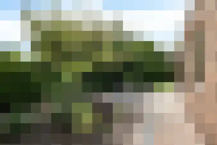 De Hulstlaan 22 Leek thumbnail 28