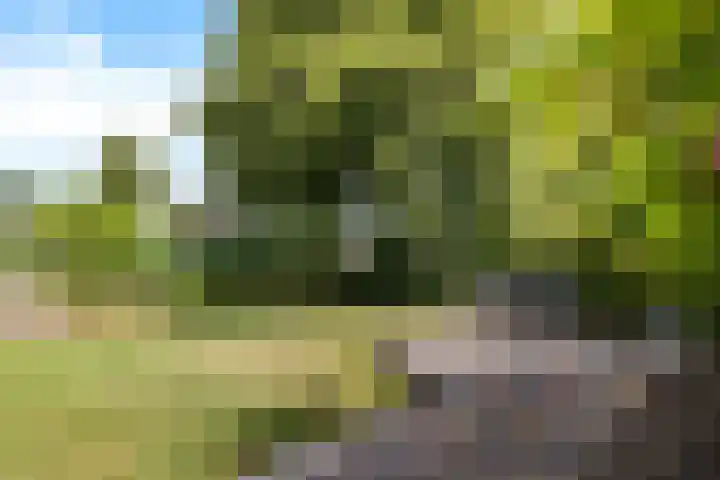 De Hulstlaan 22 Leek thumbnail 29