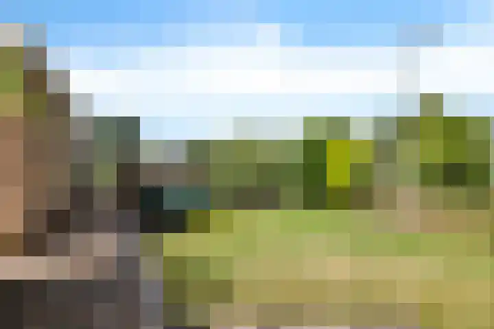 De Hulstlaan 22 Leek thumbnail 30