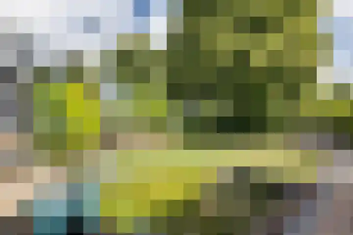De Hulstlaan 22 Leek thumbnail 32