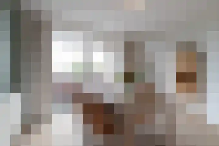 De Hulstlaan 4 II Leek thumbnail 10
