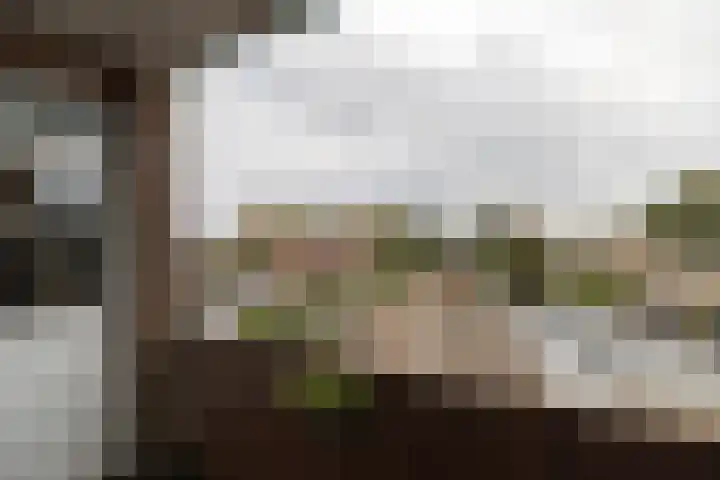 De Hulstlaan 4 II Leek thumbnail 11