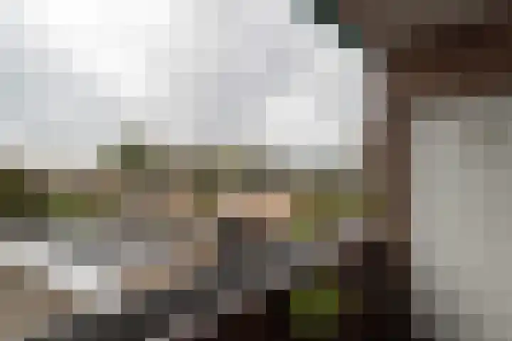 De Hulstlaan 4 II Leek thumbnail 12