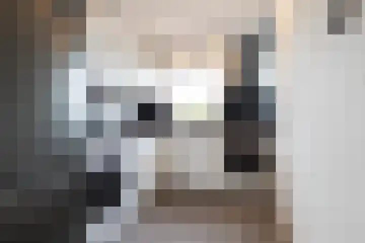 De Hulstlaan 4 II Leek thumbnail 14
