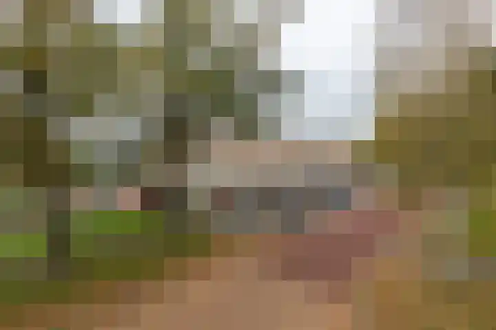 De Hulstlaan 4 II Leek thumbnail 23