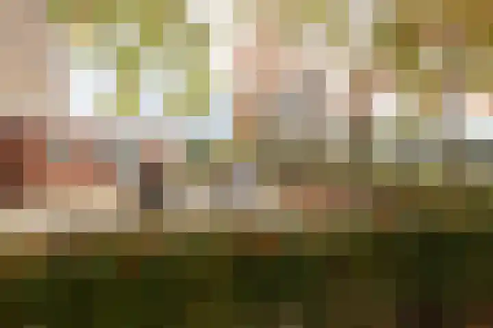 De Hulstlaan 4 II Leek thumbnail 25