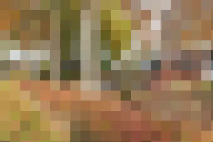 De Hulstlaan 4 II Leek thumbnail 27