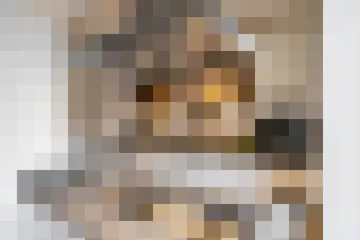 De Hulstlaan 5 Leek thumbnail 10