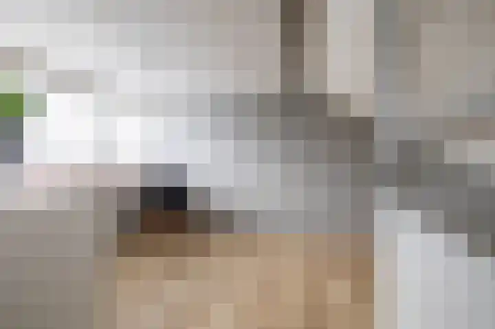 De Hulstlaan 5 Leek thumbnail 33