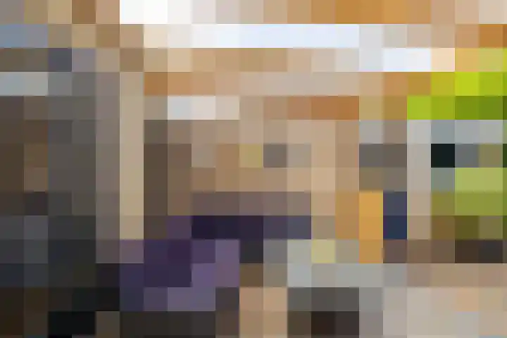 De Hulstlaan 5 Leek thumbnail 35
