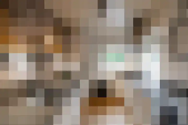 De Hulstlaan 5 Leek thumbnail 7