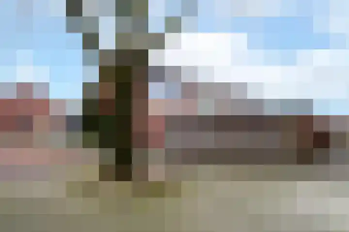 De Hultinge 7 Beilen thumbnail 29