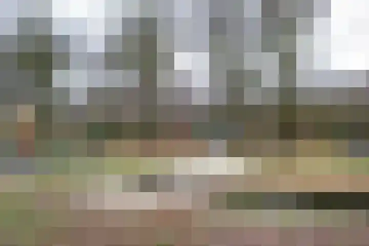 De Hultinge 7 Beilen thumbnail 30