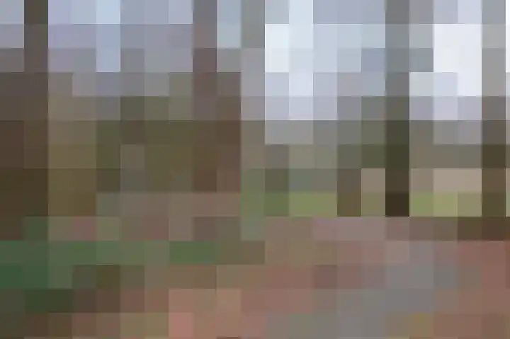 De Hultinge 7 Beilen thumbnail 31