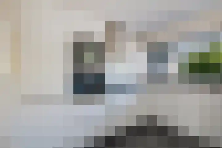 de Hunenborg 6 Roden thumbnail 10