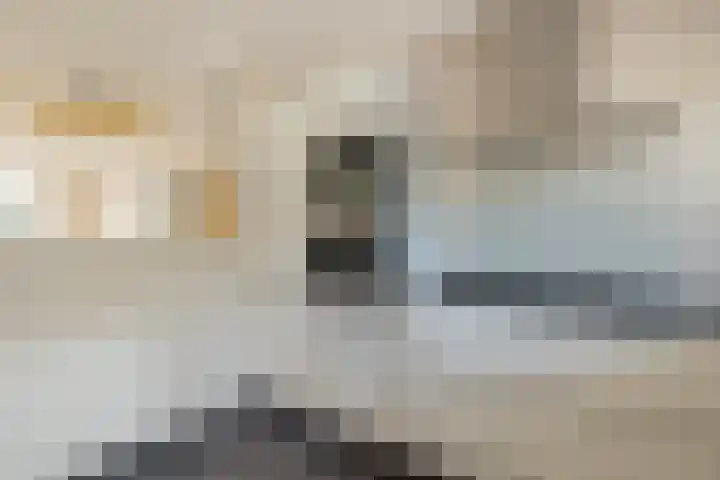 de Hunenborg 6 Roden thumbnail 12