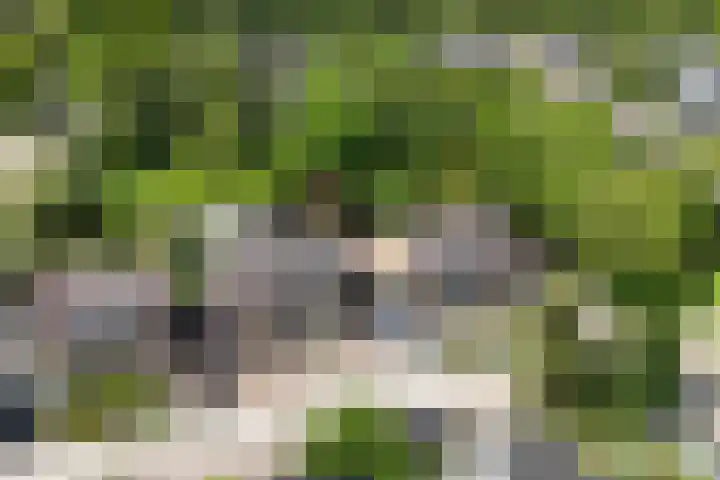 de Hunenborg 6 Roden thumbnail 30
