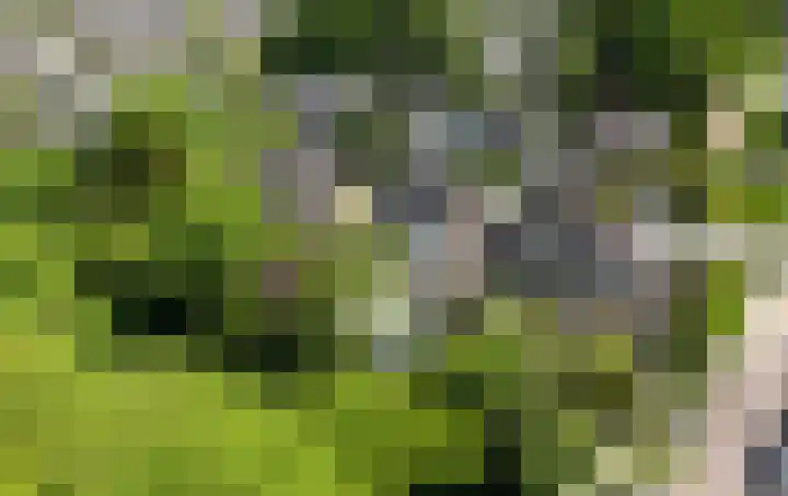 de Hunenborg 6 Roden thumbnail 38