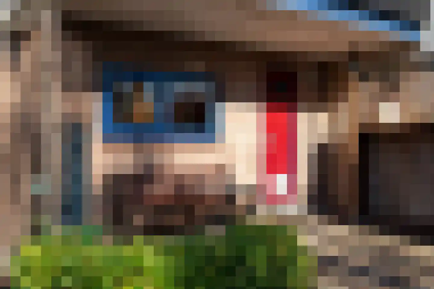 de Hunze 9 Woerden thumbnail 36