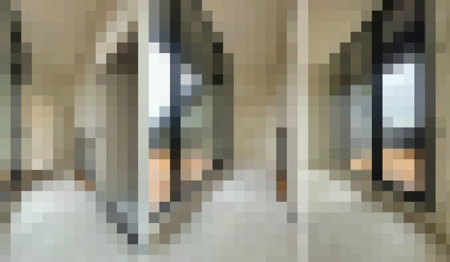 De Hut 8 B Ingber thumbnail 15