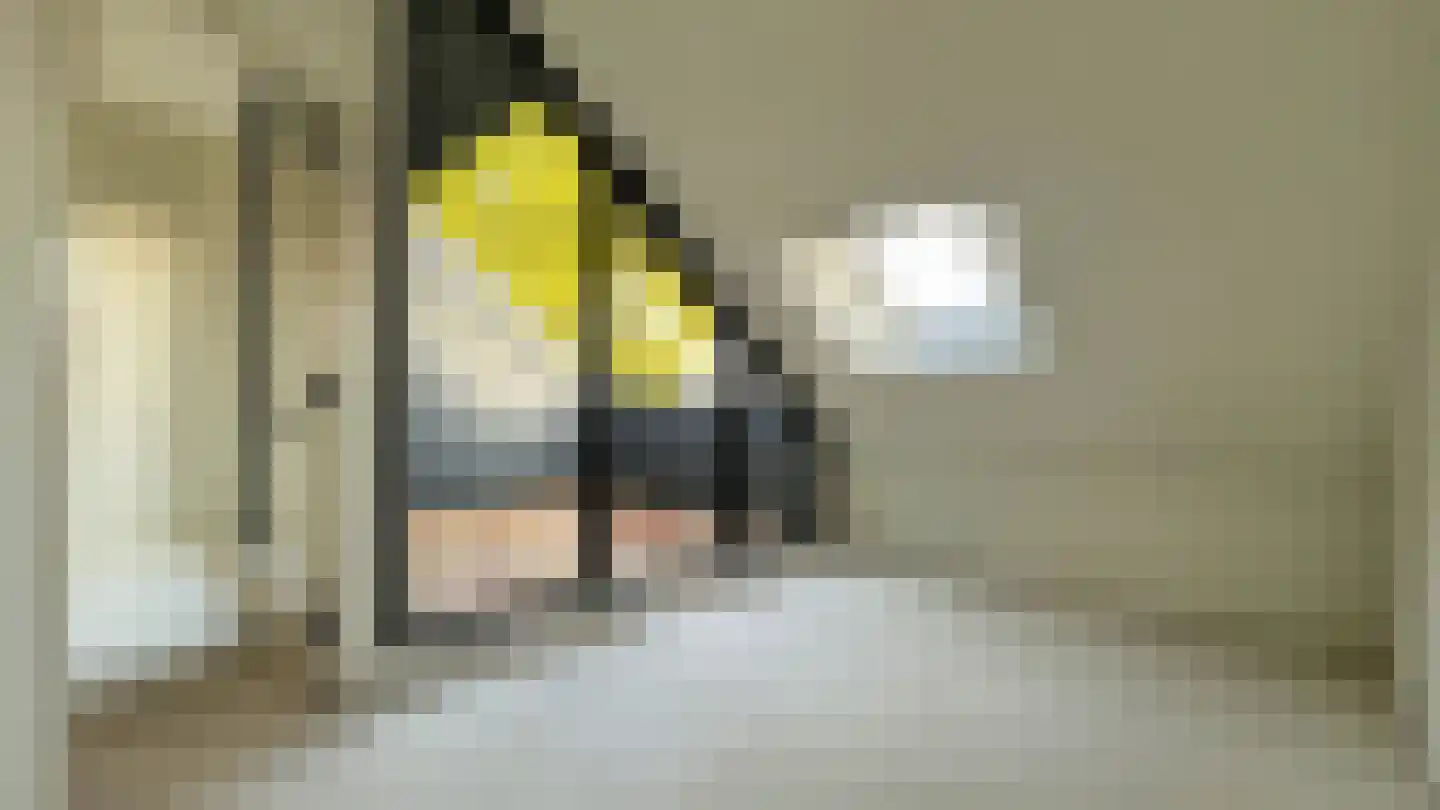 De Hut 8 B Ingber thumbnail 16