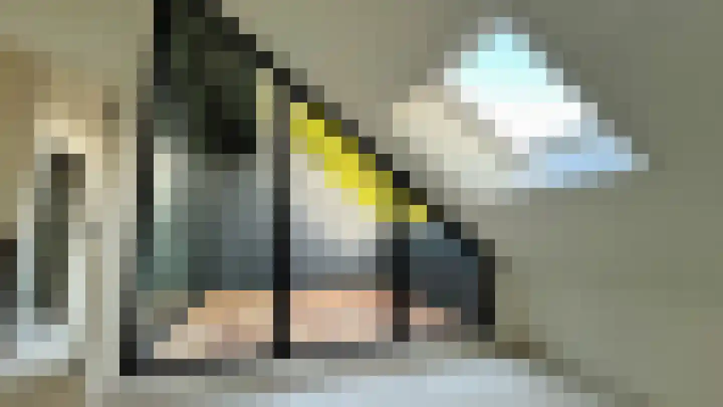 De Hut 8 B Ingber thumbnail 18