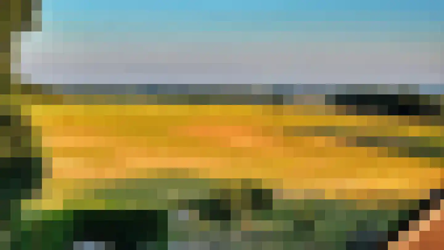 De Hut 8 B Ingber thumbnail 27