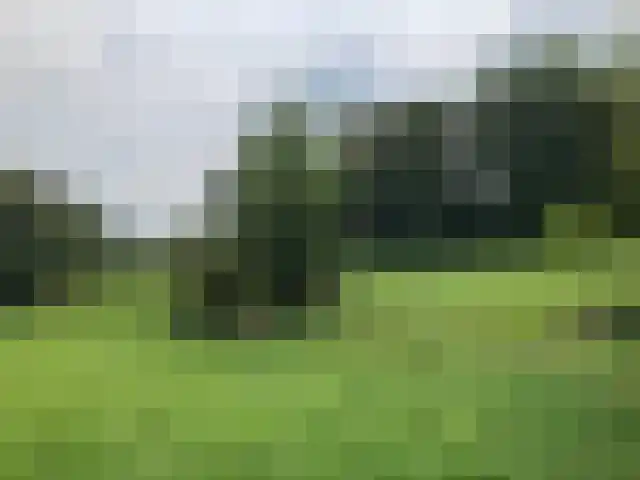 De Hut 8 B Ingber thumbnail 36