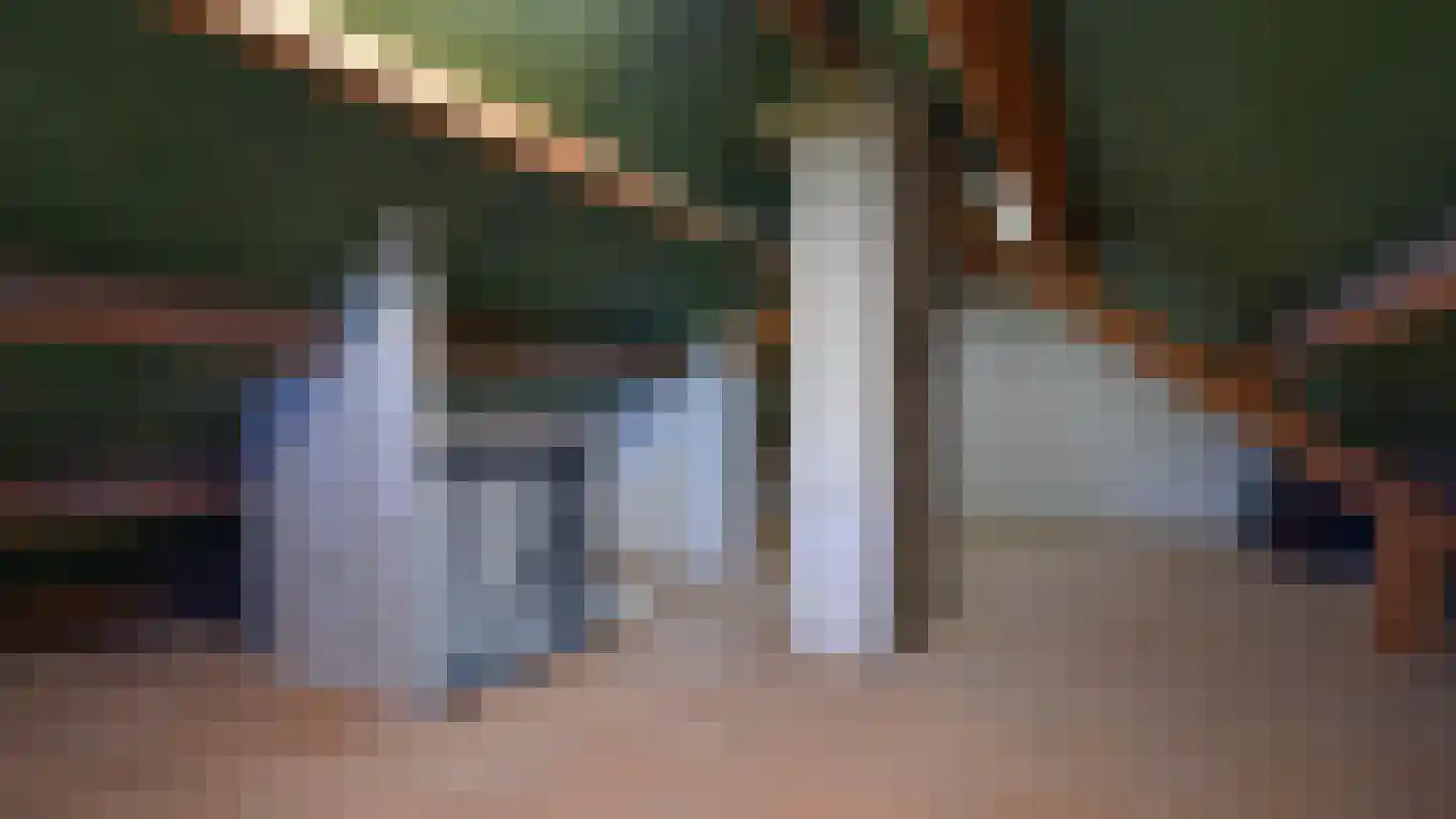 De Hut 8 Ingber thumbnail 20