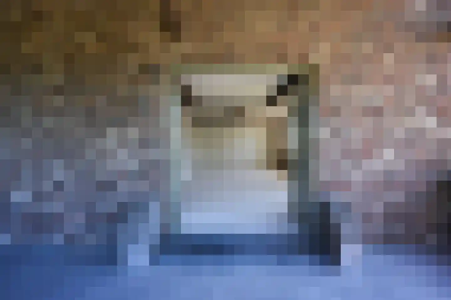 De Hut 8 Ingber thumbnail 24