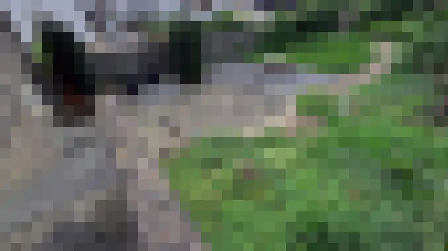 De Hut 8 Ingber thumbnail 32