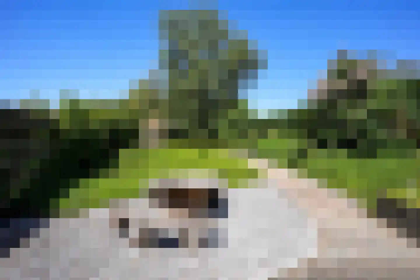 De Hut 8 Ingber thumbnail 49