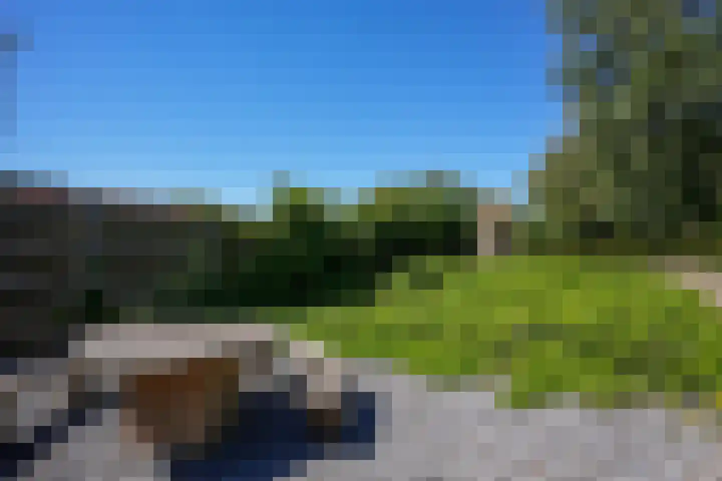 De Hut 8 Ingber thumbnail 50