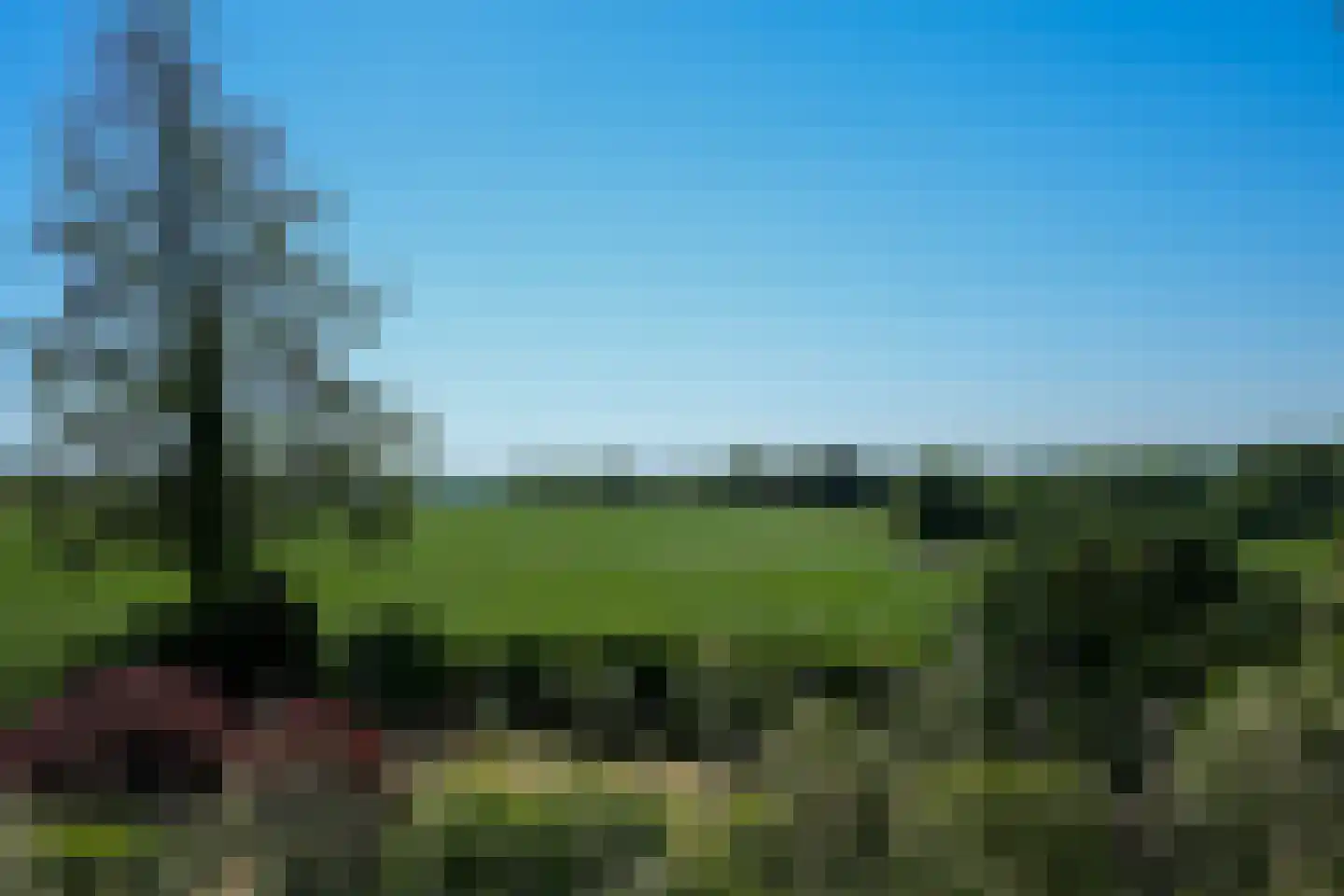 De Hut 8 Ingber thumbnail 62