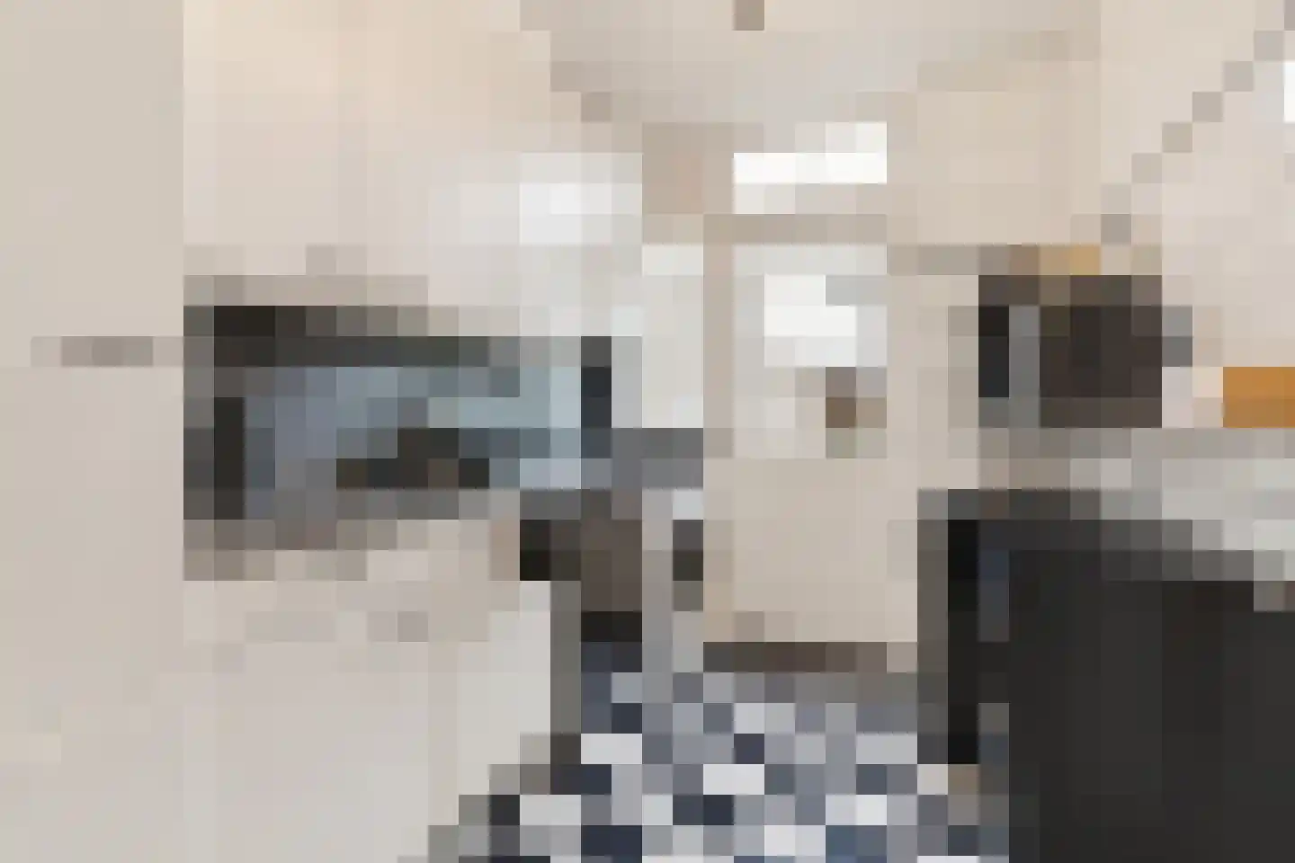 De Huterstraat 18 Oudheusden thumbnail 12