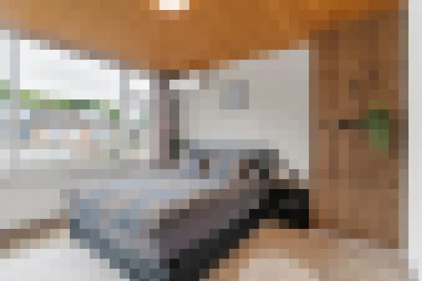 De Huterstraat 18 Oudheusden thumbnail 18