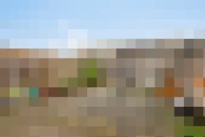 De Huterstraat 21 Oudheusden thumbnail 25
