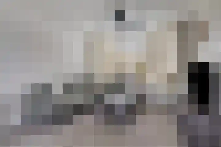 De Huterstraat 21 Oudheusden thumbnail 6