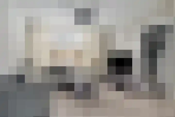 De Huterstraat 21 Oudheusden thumbnail 7