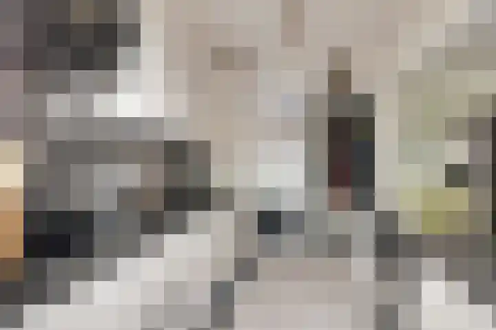 De Huterstraat 24 Oudheusden thumbnail 16
