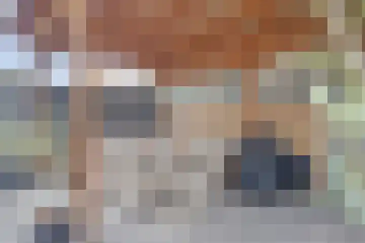 De Huterstraat 24 Oudheusden thumbnail 30