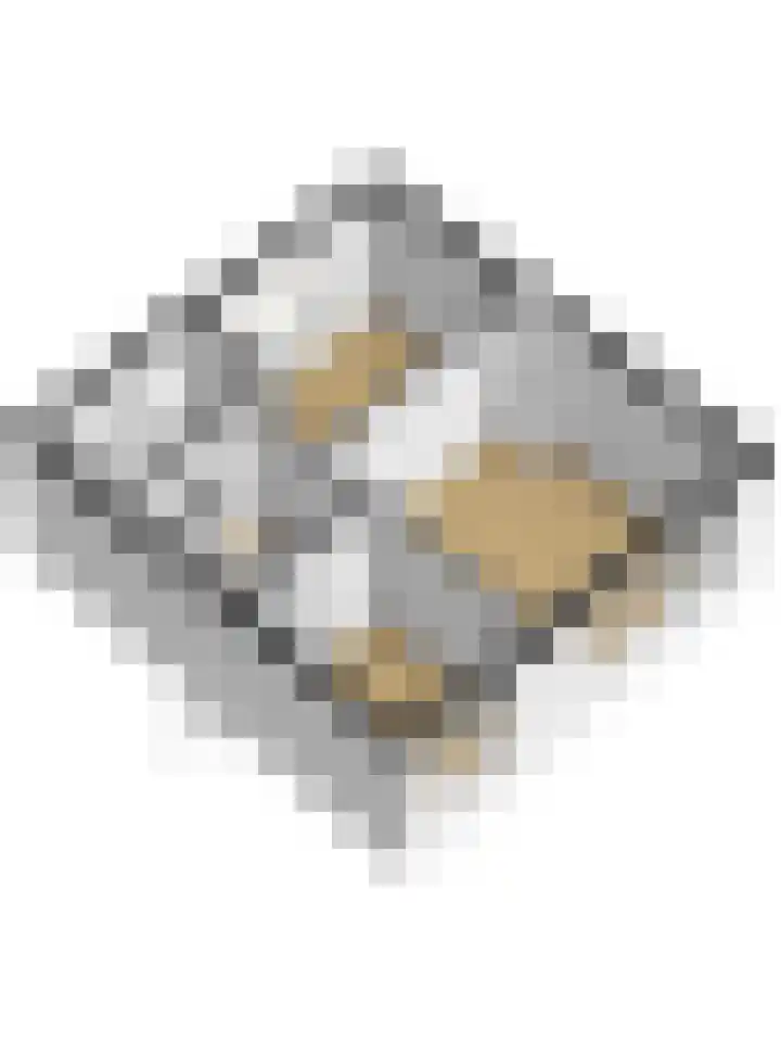 De Huterstraat 24 Oudheusden thumbnail 40